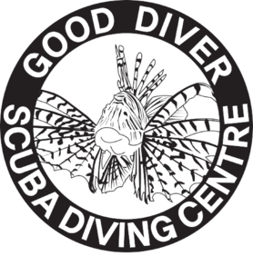 GOOD DIVER