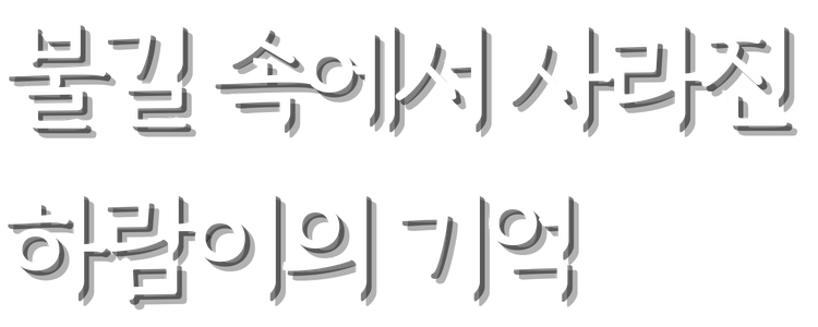 <h2>그날 밤, 모든 기억을 잃어버린 6살 새봄이</h2>