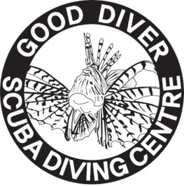 GOOD DIVER