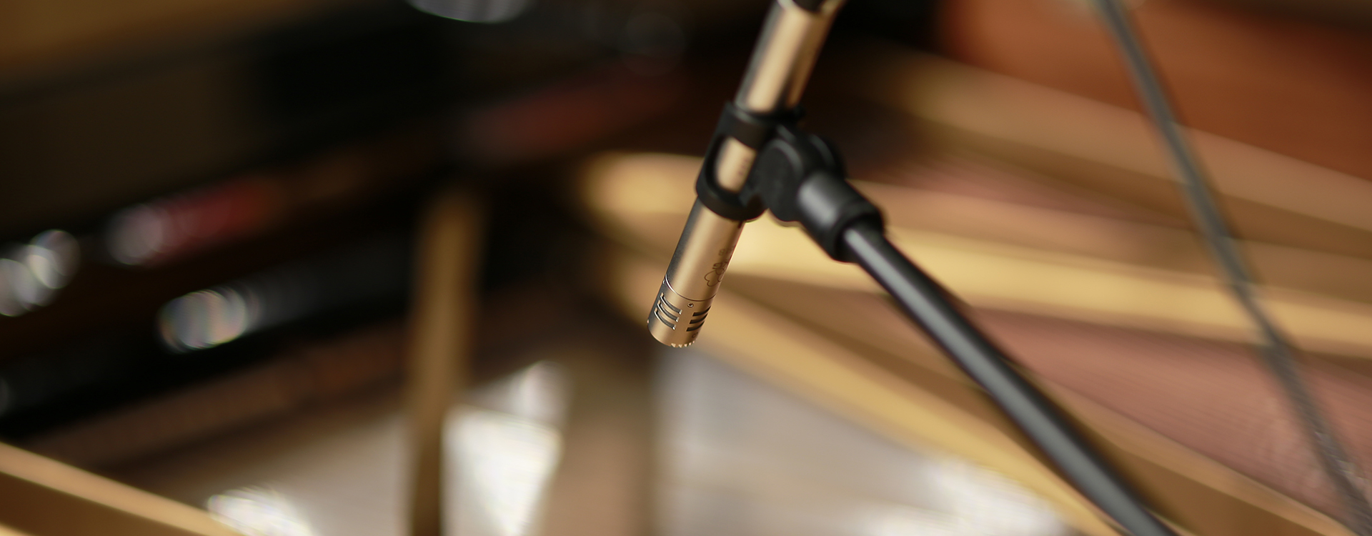 아티스트 / 기타(etc)