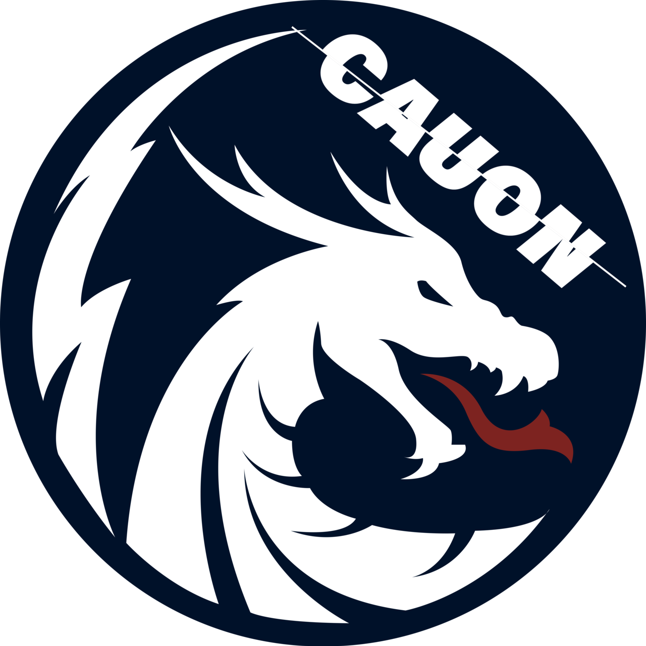 <KK>CAUON</KK><br>러닝