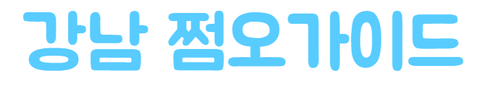 강남 쩜오가이드