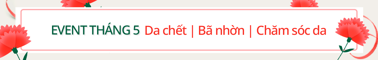 Không gồm VAT