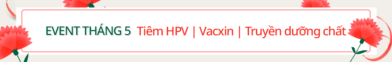 <br>~25.05.31<br>Không gồm VAT