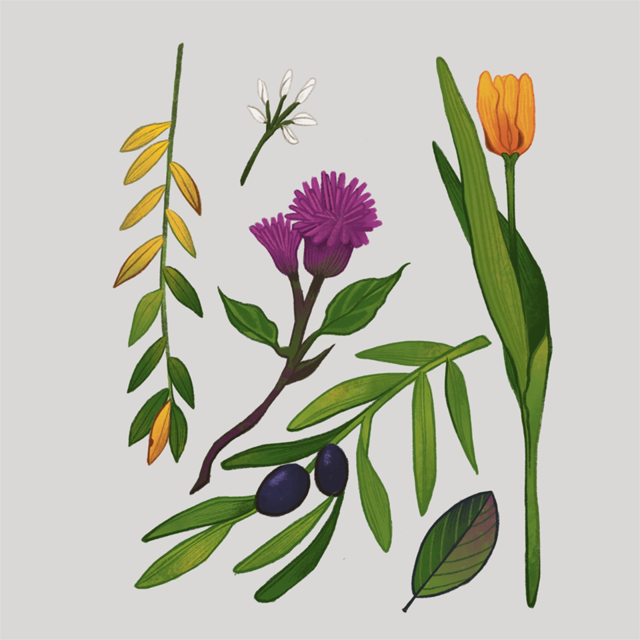 동화 삽화 일러스트