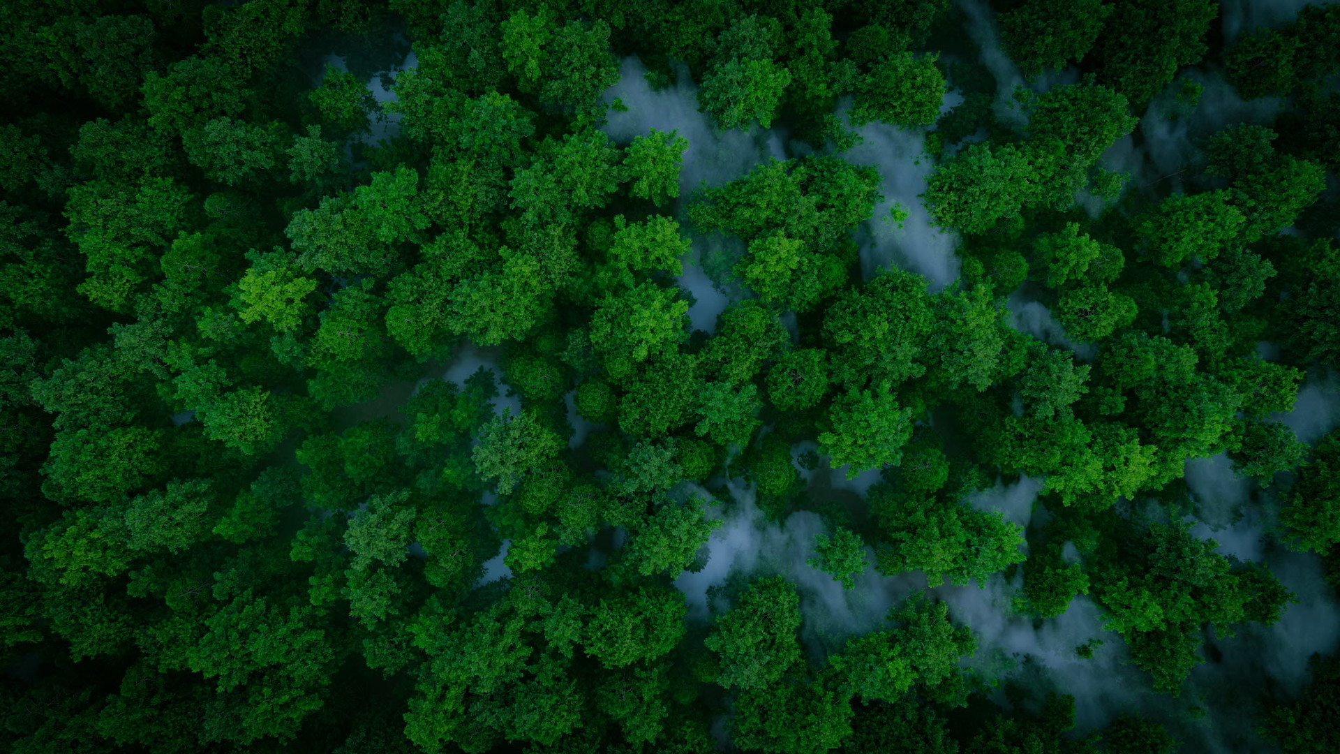 mobile background