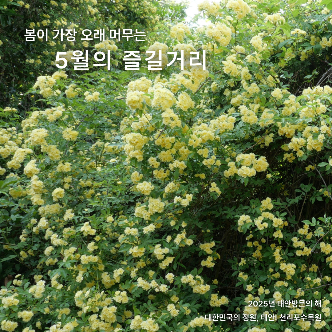 예약링크
