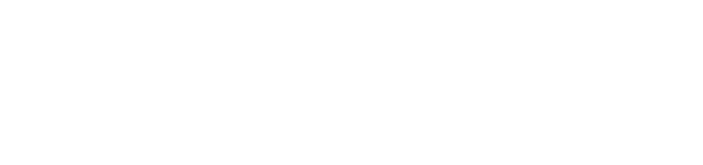 WELL MEDI KOREA