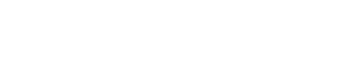 W VILLAGE