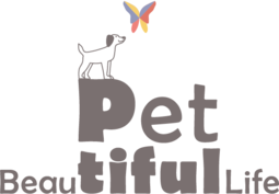 페티풀(Petiful)