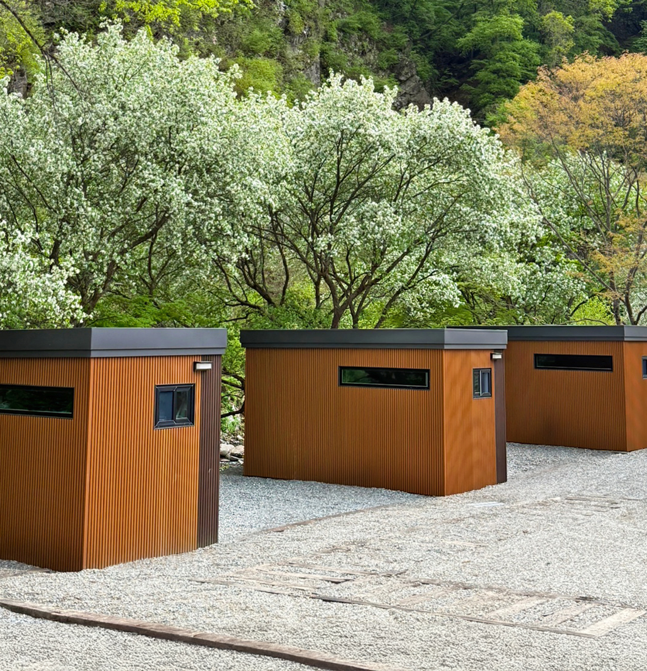 <div style ="font-size:25px;">ROOM TYPE 1.</div><B>CAMPING</B>