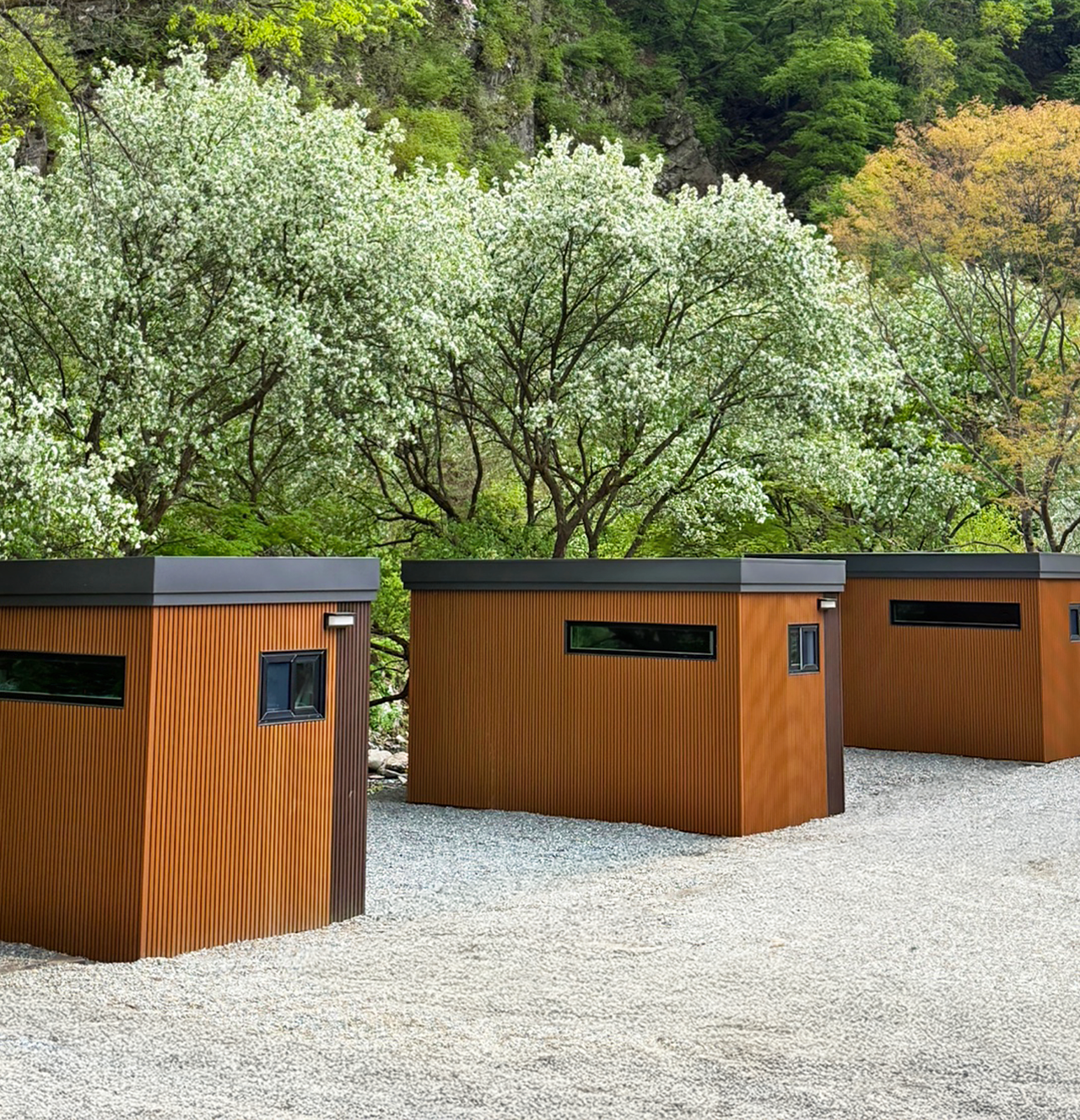 <div style ="font-size:25px;">ROOM TYPE 1.</div><B>CAMPING</B>