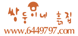 쌍둥이네흙집펜션