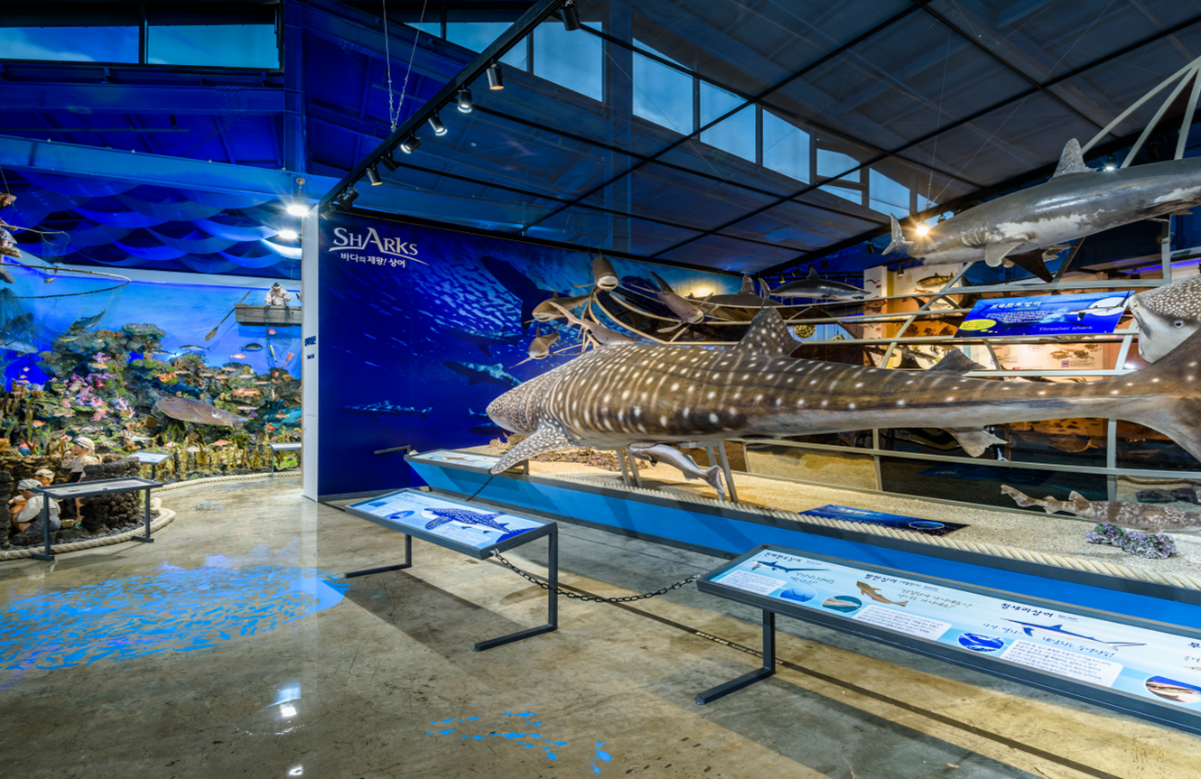 Jeju Marine Animal Museum 제주도 서귀포