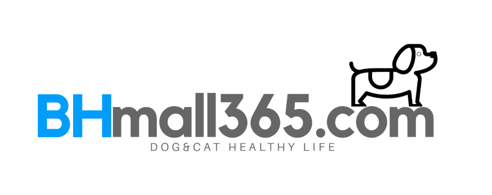 BH몰 365