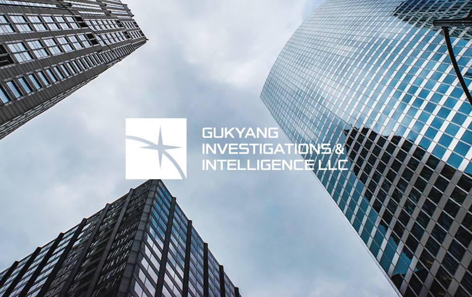 국정원 출신 탐정 그룹, 탐정법인(유한) 국양 대표, 탐정 정희수