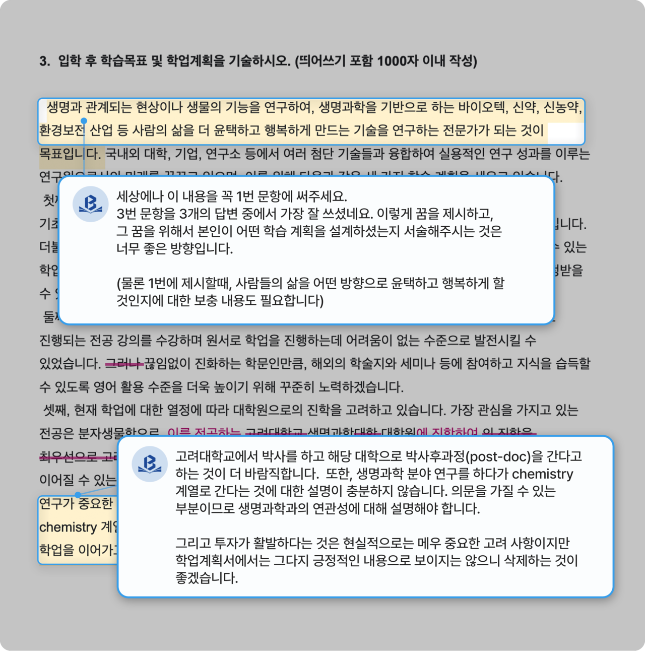 blis 첨삭 시스템 이미지