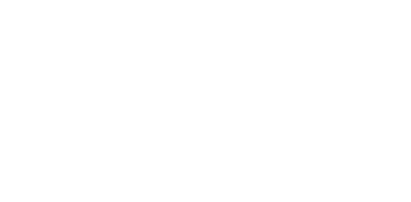 THE 22ST JJF