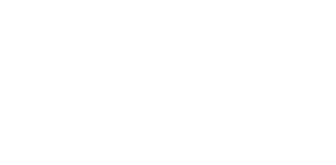 THE 21TH JJF