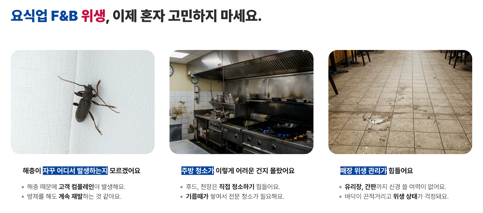 케어원-식품위생법-해충방제-바퀴벌레퇴치-요식업창업준비