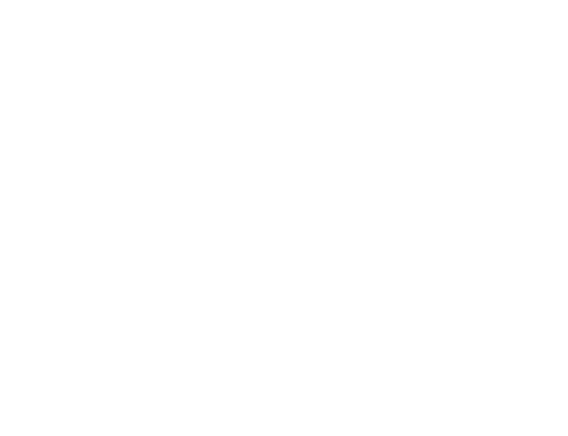 세종정책자금연구소 로고