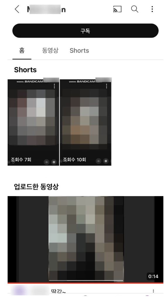 몸캠영상유포사례 : 유튜브