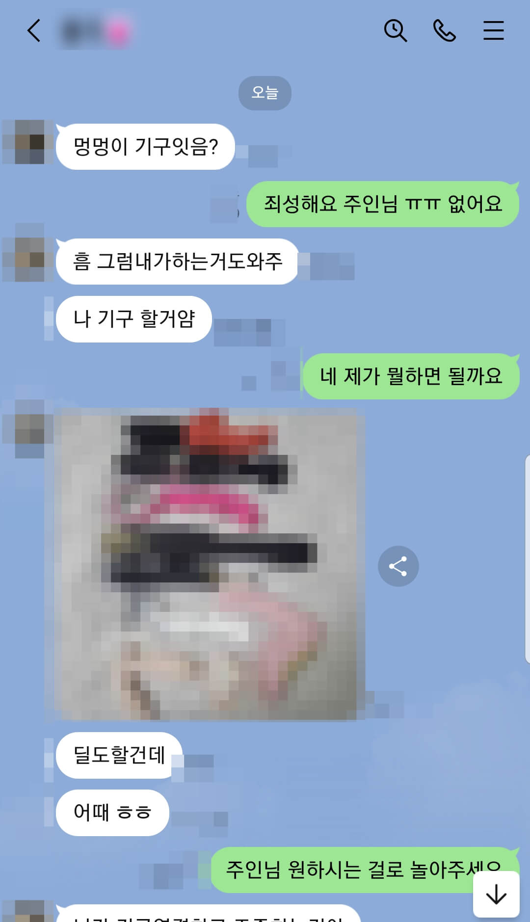 성인기구를 조종할수 있도록 해킹앱 설치를 유도하는 가해자