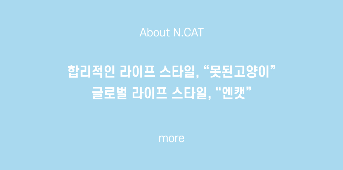 대한미국을 대표하는 패션 액세서리 브랜드 N.CAT