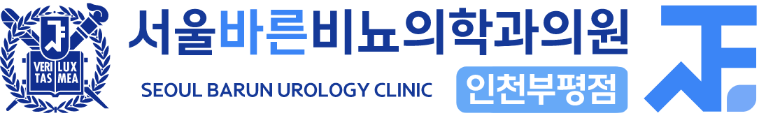 서울바른비뇨의학과 인천부평점 - 일요일 정상 진료, 요로결석 24시간 365일 치료