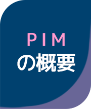 PIMの概要