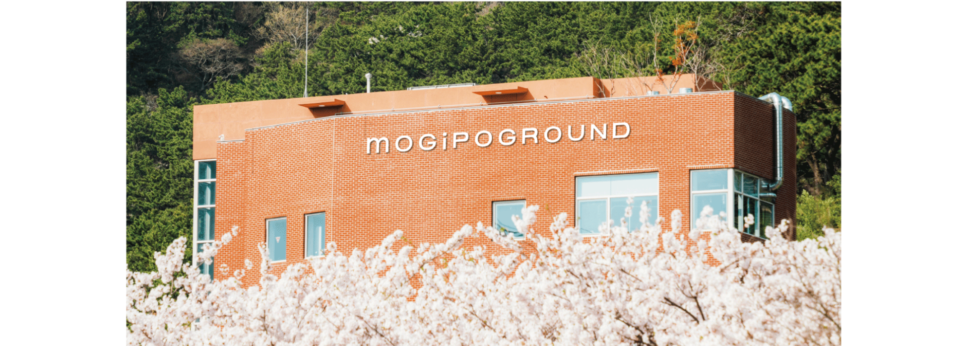 부산 서구 암남공원로238 모지포그라운드 건물 전경