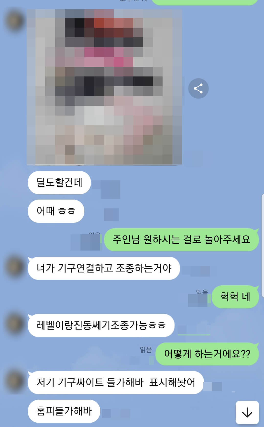 딜도어플리케이션 설치를 유도하는 가해자