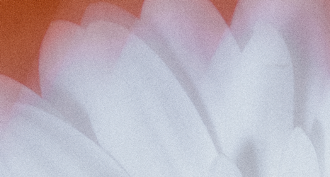 <B>스토리 _</B>