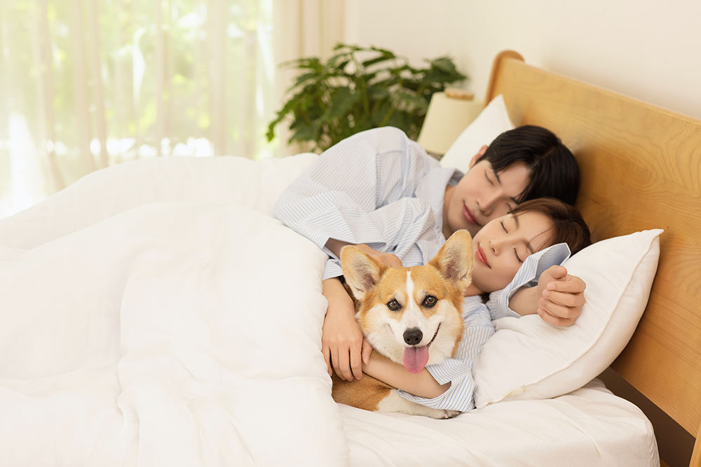 <p><span style="font-size: 30px;"><strong>  수면센터</strong></span></p>  <p><span style="font-size: 24px;">  (수면무호흡, 수면다원검사, 양압기)</span></p>  <p><span style="font-size: 24px;">                                                                       </span></p>  <p><span style="font-size: 24px;">                                                                      </span><span style="font-size: 20px;">자세히 보기⇀</span></p>