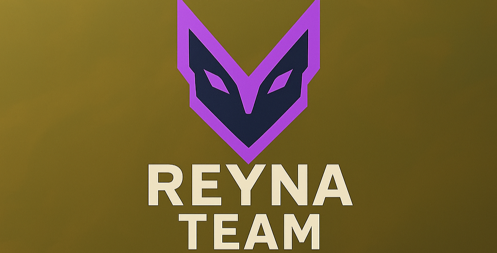  발로란트 대리 - 승률,강의 , 듀오 - & 배치고사 전문 서비스