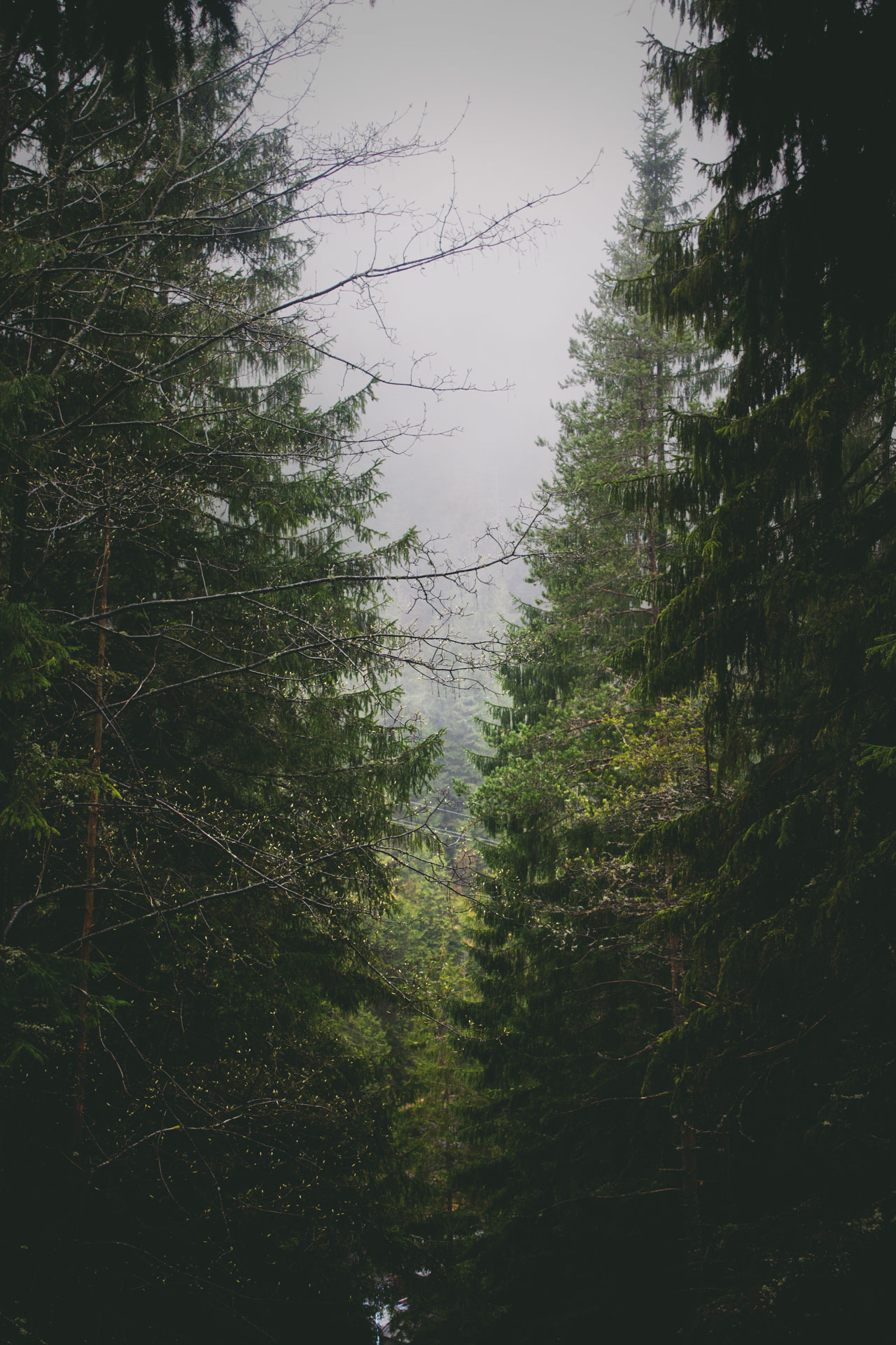 mobile background