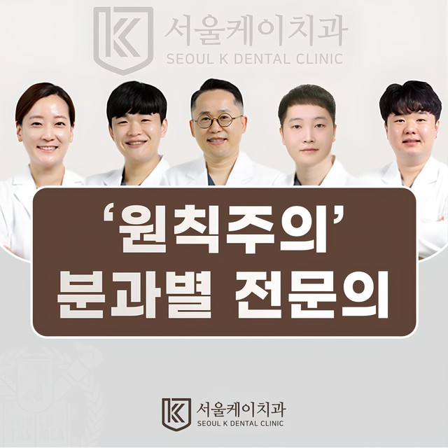 원칙주의 분과별 전문의