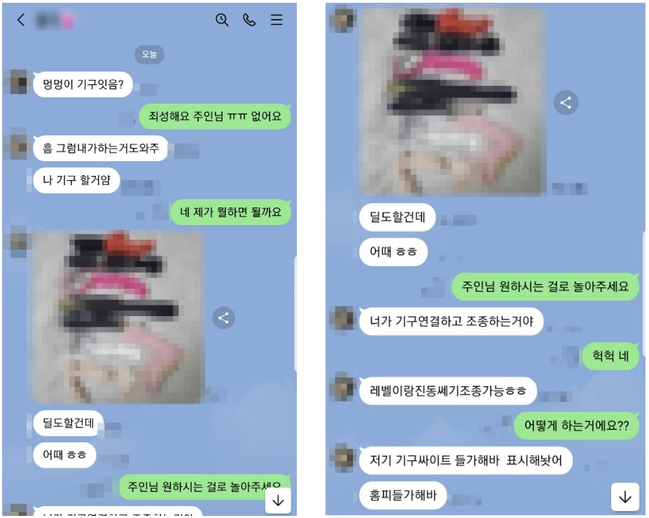 해킹앱을 설치하게 하기 위해 성인기구 원격조종 어플을 설치하게끔 종용하는 가해자
