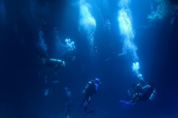 <p style="text-align:left; font-size:16px; margin-top:26px;">PADI MSDT 레벨을 위한<br>스페셜티강사 패키지<br>+PADI IDC STAFF Instructor 과정 <br><span style="color:#666; font-size:14px; ">3,000,000원</span></p>