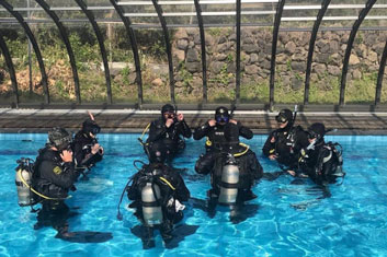 <p style="text-align:left; font-size:16px; margin-top:26px;">PADI DiveMaster 과정<br><span style="color:#666; font-size:14px; ">2,000,000원</span></p>