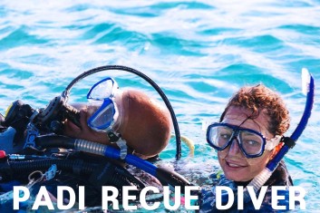 <p style="text-align:left; font-size:16px; margin-top:26px;">PADI 레스큐 다이버<br><span style="color:#666; font-size:14px; ">1,200,000원</span></p>