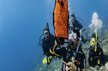 <p style="text-align:center; font-size:16px; margin-top:26px;">PADI DSMB Specialty Course 패키지</p>