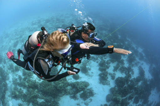 <p style="text-align:left; font-size:16px; margin-top:26px;">PADI Specialty Instructor 3Pac<br><span style="color:#666; font-size:14px; ">1,100,000원</span></p>