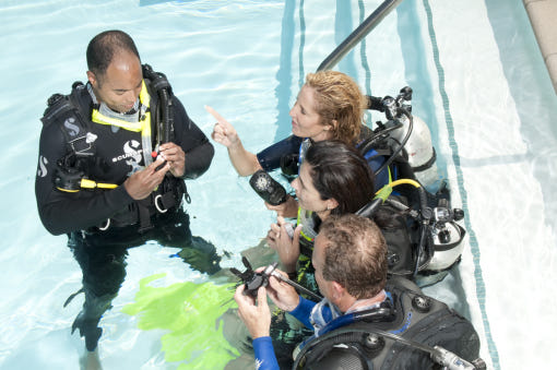 <p style="text-align:left; font-size:16px; margin-top:26px;">PADI IDC STAFF Instructor 과정<br><span style="color:#666; font-size:14px; ">1,800,000원</span></p>