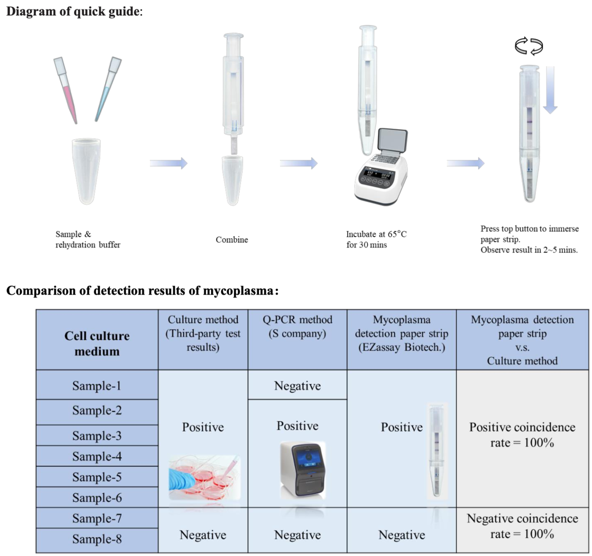 Mycoplasma detection paper strip (contamination free) : Mycoplasma ...