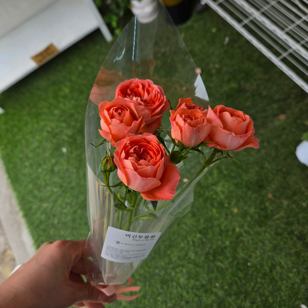 [대구 수성구] 비긴투블룸