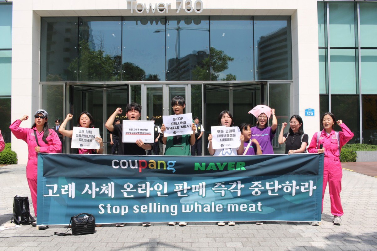 고래바다PC 이미지