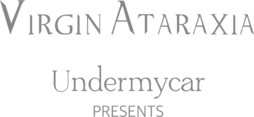 Undermycar Worldwide