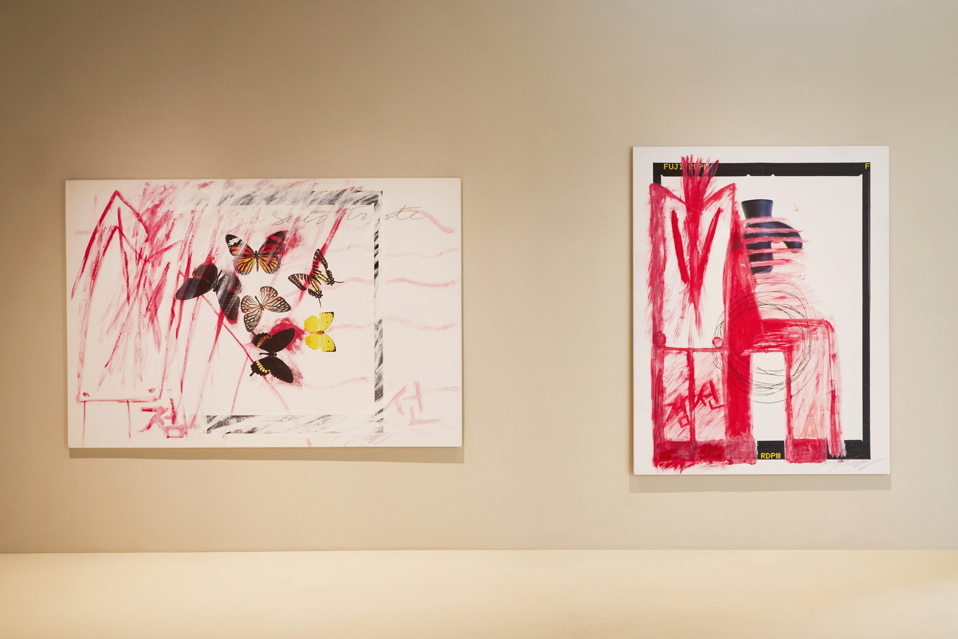 김점선 x 김중만 214.5x145.5cm / 138x177cm Mixed media on canvas 2005