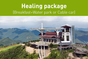 Mountain coaster Family Package [4pax]